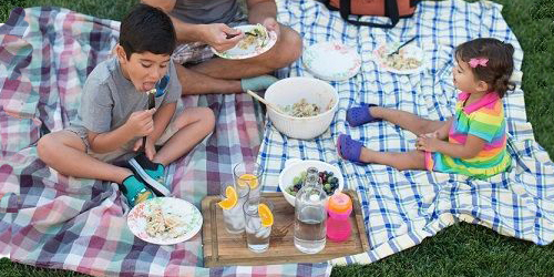 A family enjoying a picnic outside on a blanket with a variety of food.